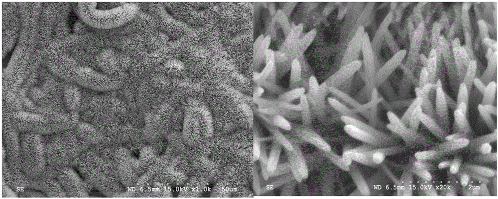 Preparation method of polymer fiber-based ZnO nanowire fiber