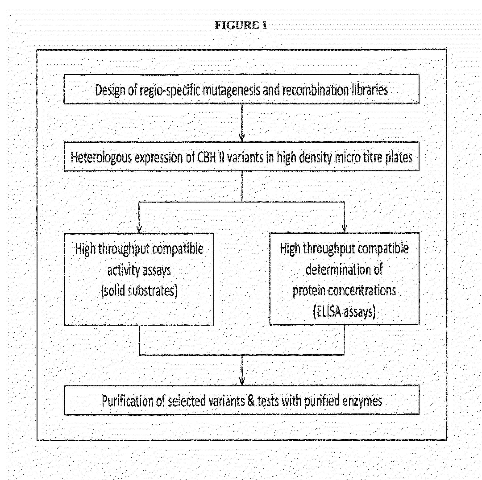 Polypeptides having cellobiohydrolase ii activity