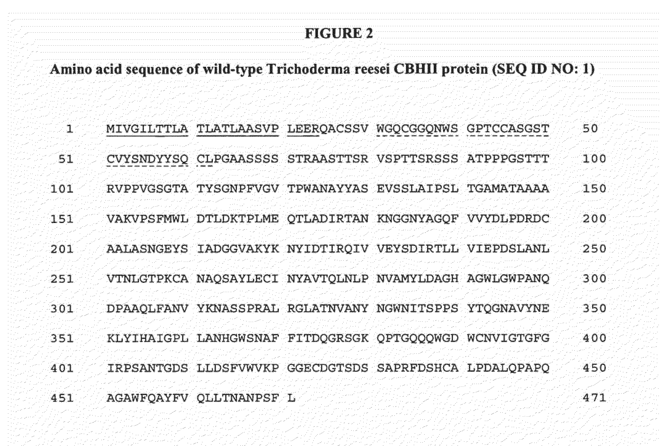 Polypeptides having cellobiohydrolase ii activity