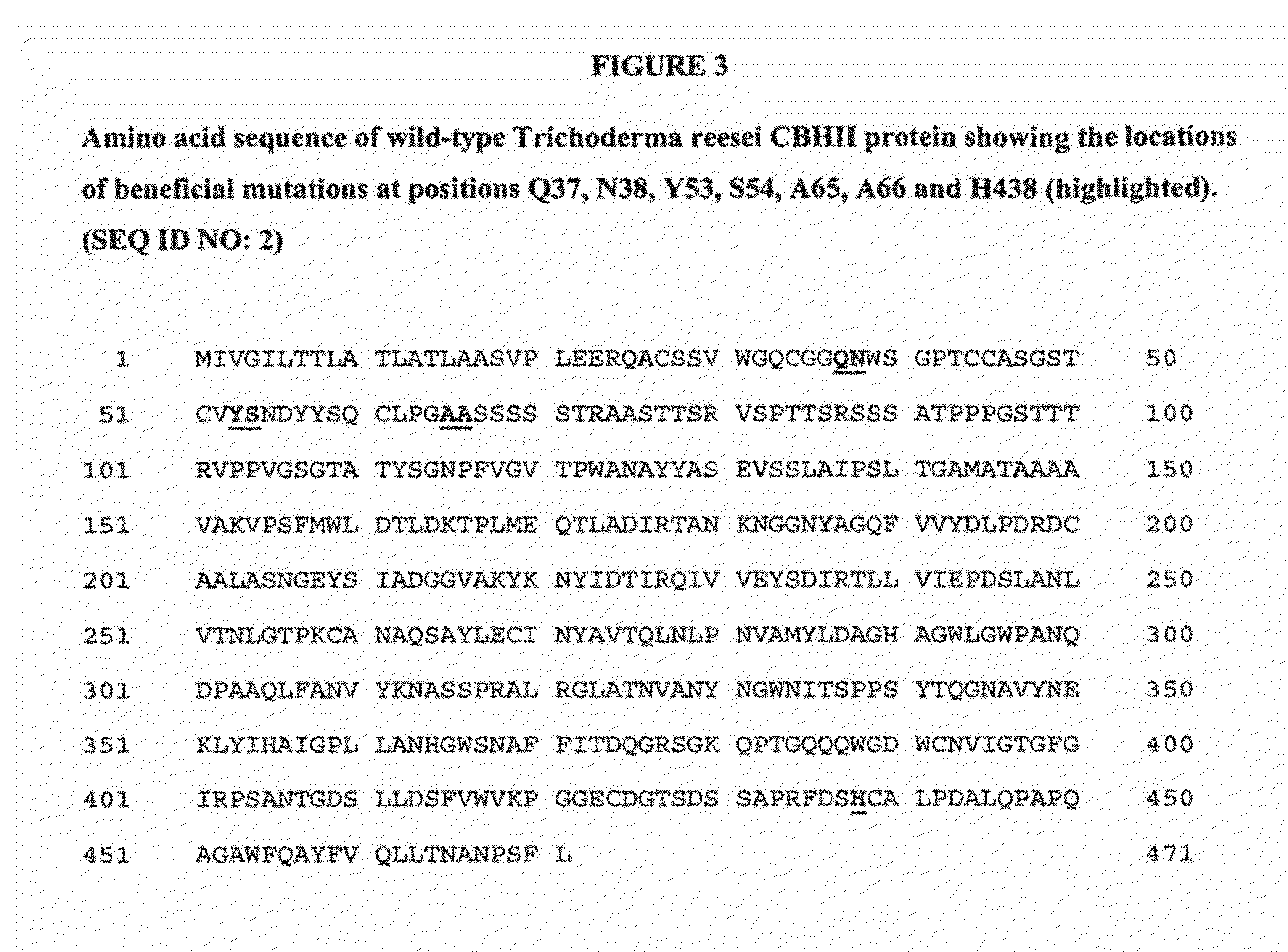 Polypeptides having cellobiohydrolase ii activity