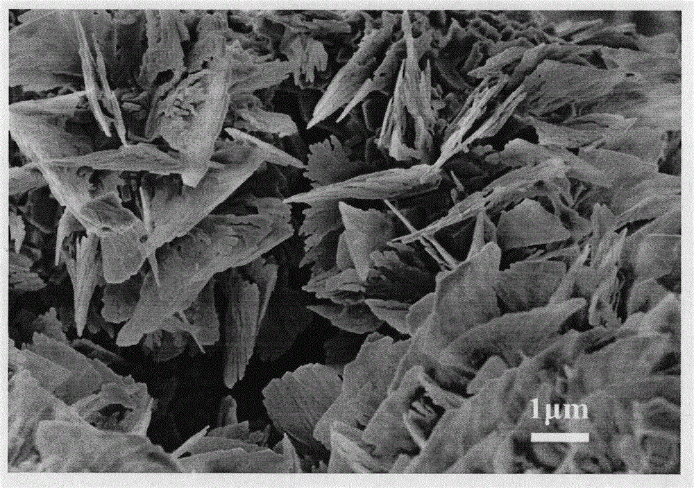 ZSM-5 molecular sieve with nanosheet layer structure and synthesis method thereof