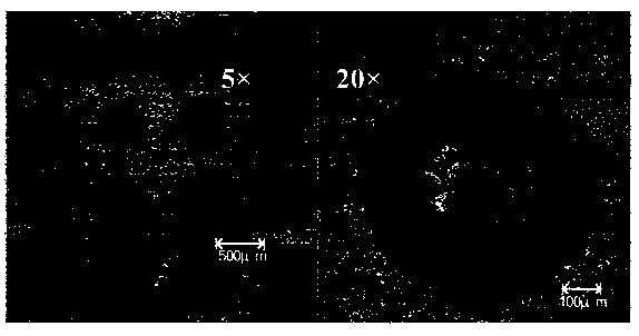 Laser micro structure machining method