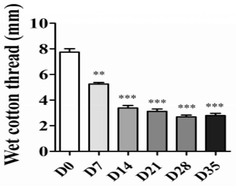 Application of rhfgf-21 in preparation of medicine for treating dry eye syndrome