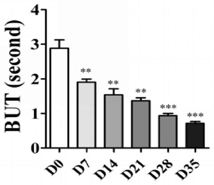 Application of rhfgf-21 in preparation of medicine for treating dry eye syndrome