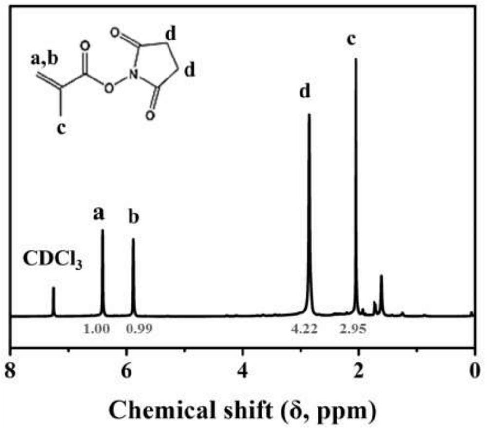 Zwitter-ion hydrogel capable of collecting type II collagen and preparation method and application thereof