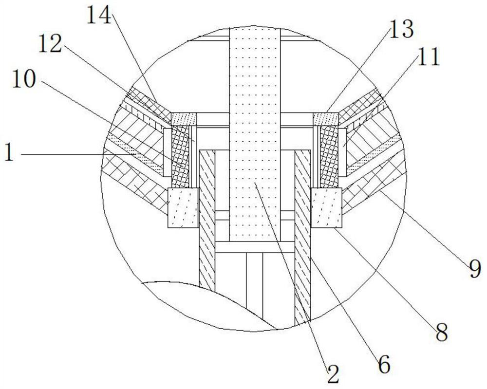 Filtering device for preparing probiotics