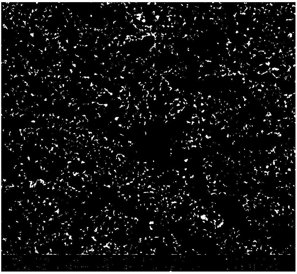 Ultrafine grain metal ceramics and preparation method thereof