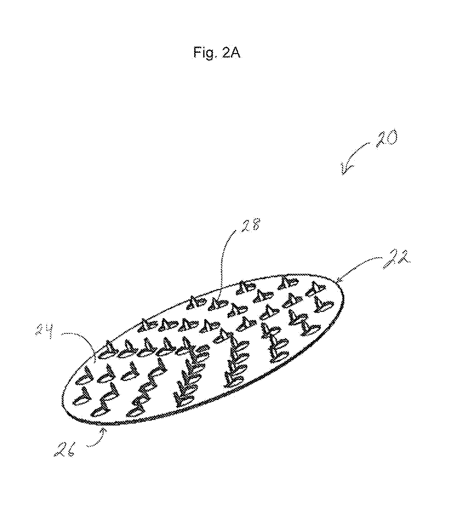 Microneedle electrode