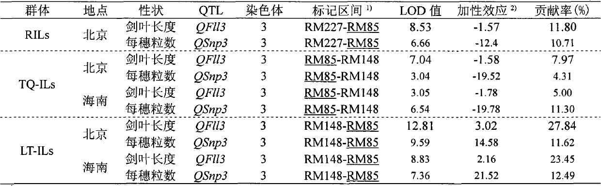 Closely linked molecular marker for novel gene (SS2) of rice sink source