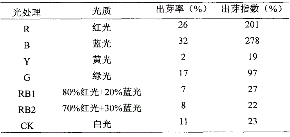 Culture method of ellcalyplus grandis Hill ex Maid tissue culture seedling