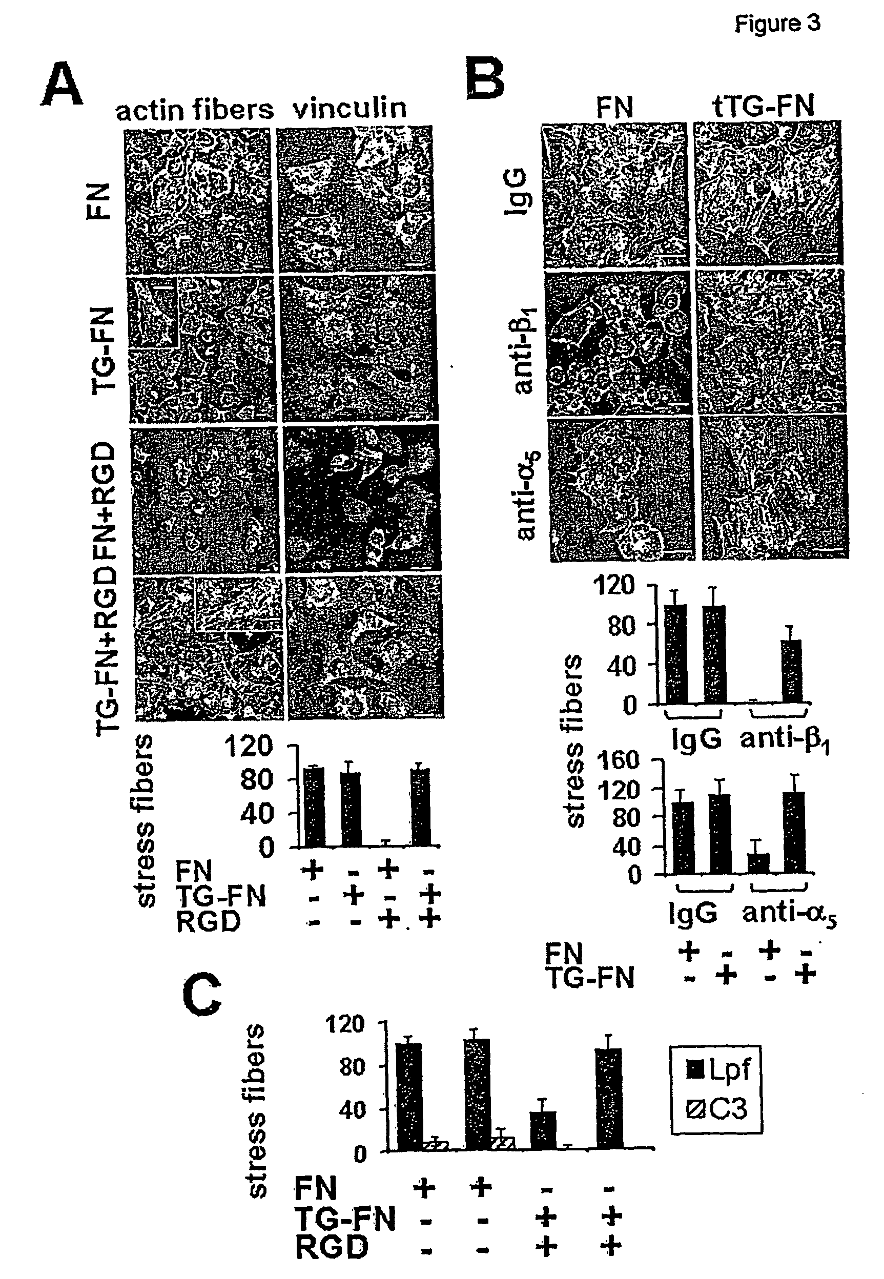 Novel screening method