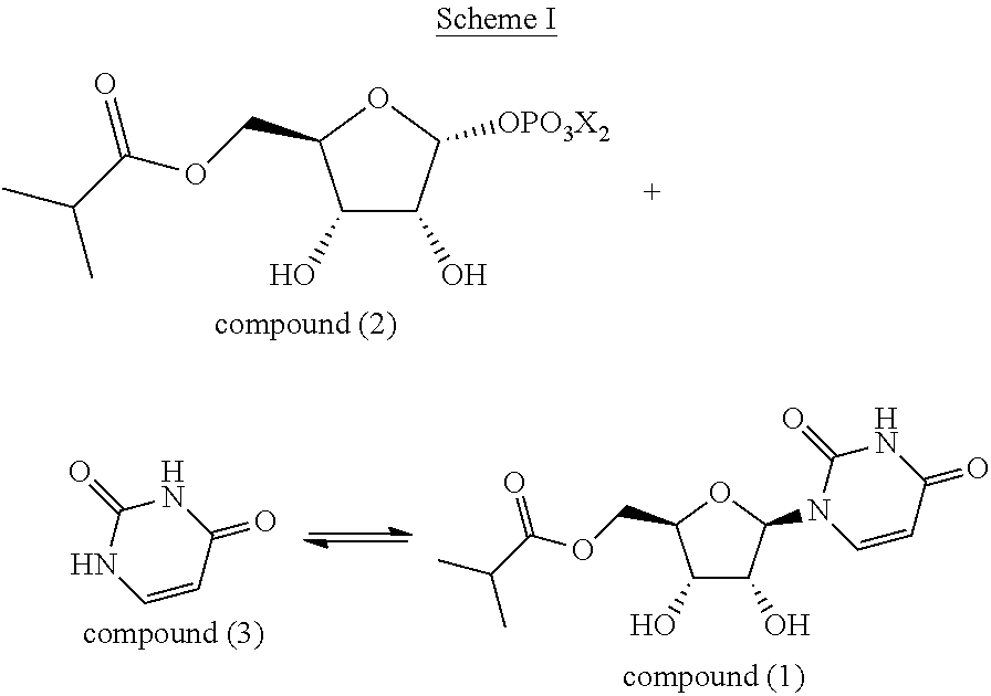 Engineered uridine phosphorylase variant enzymes