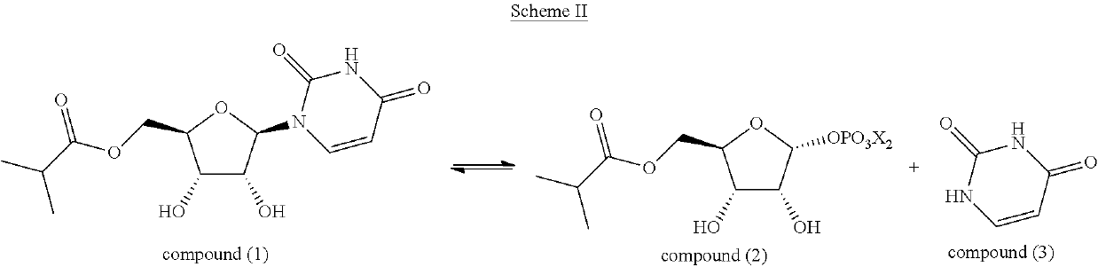 Engineered uridine phosphorylase variant enzymes