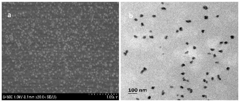 Nano cuprous oxide/silk fibroin complex and preparation method thereof