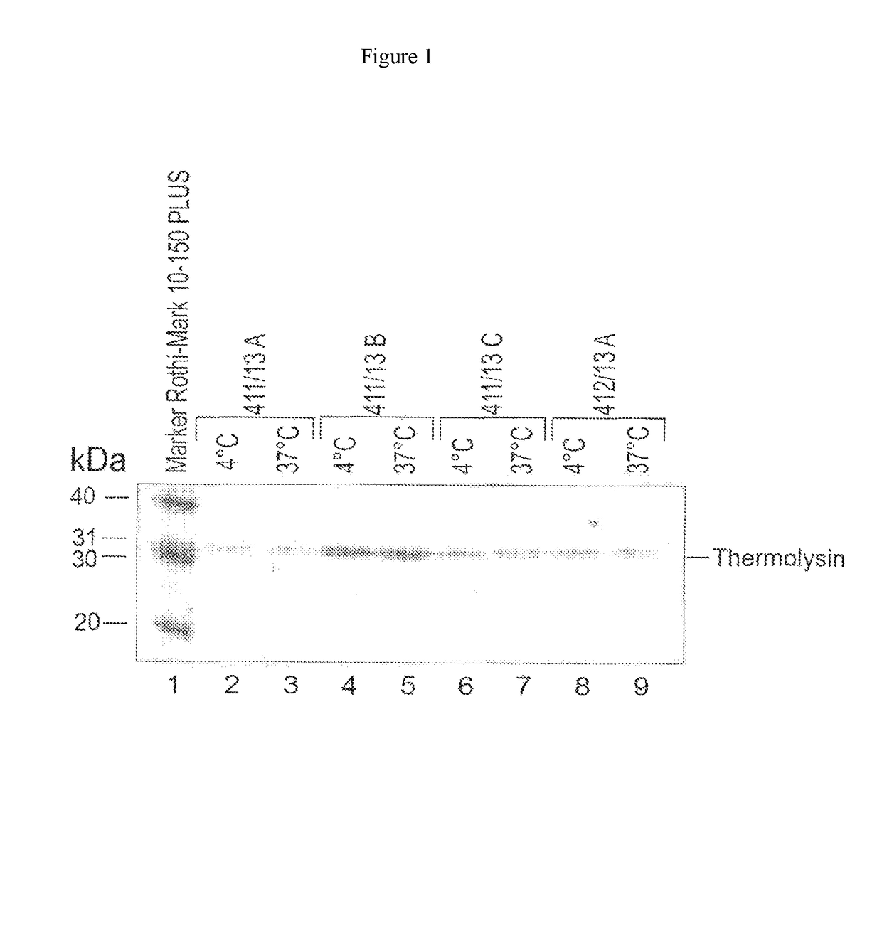 Enzymatic determination of HBA1c