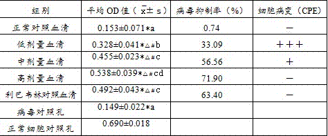 Traditional Chinese medicine composition for preventing and treating porcine reproductive and respiratory syndrome and preparation method of traditional Chinese medicine composition