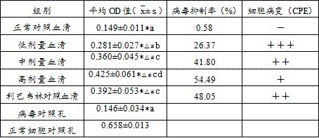 Traditional Chinese medicine composition for preventing and treating porcine reproductive and respiratory syndrome and preparation method of traditional Chinese medicine composition