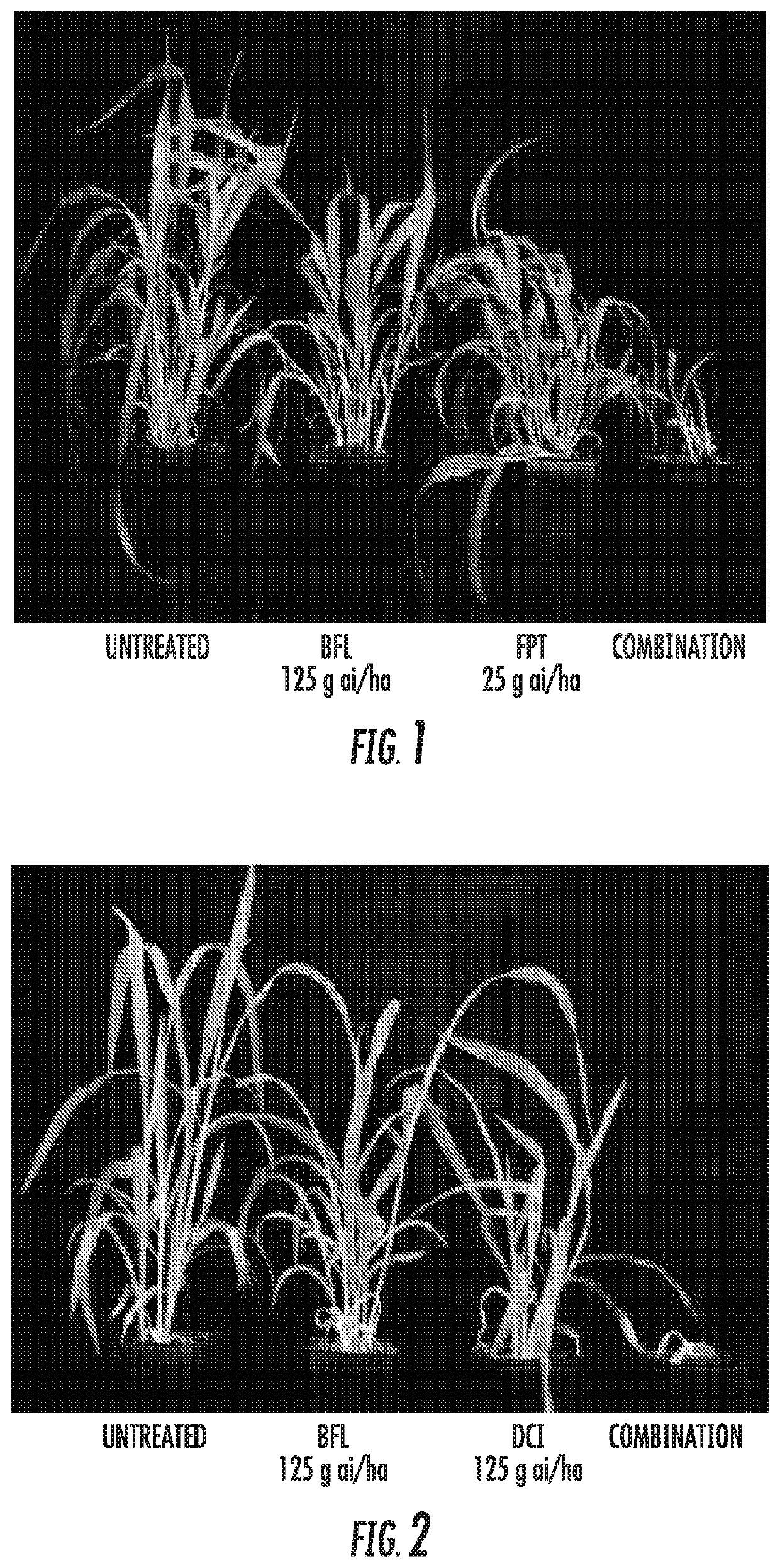 Mixtures of beflubutamid or optically enriched forms thereof with a second herbicide