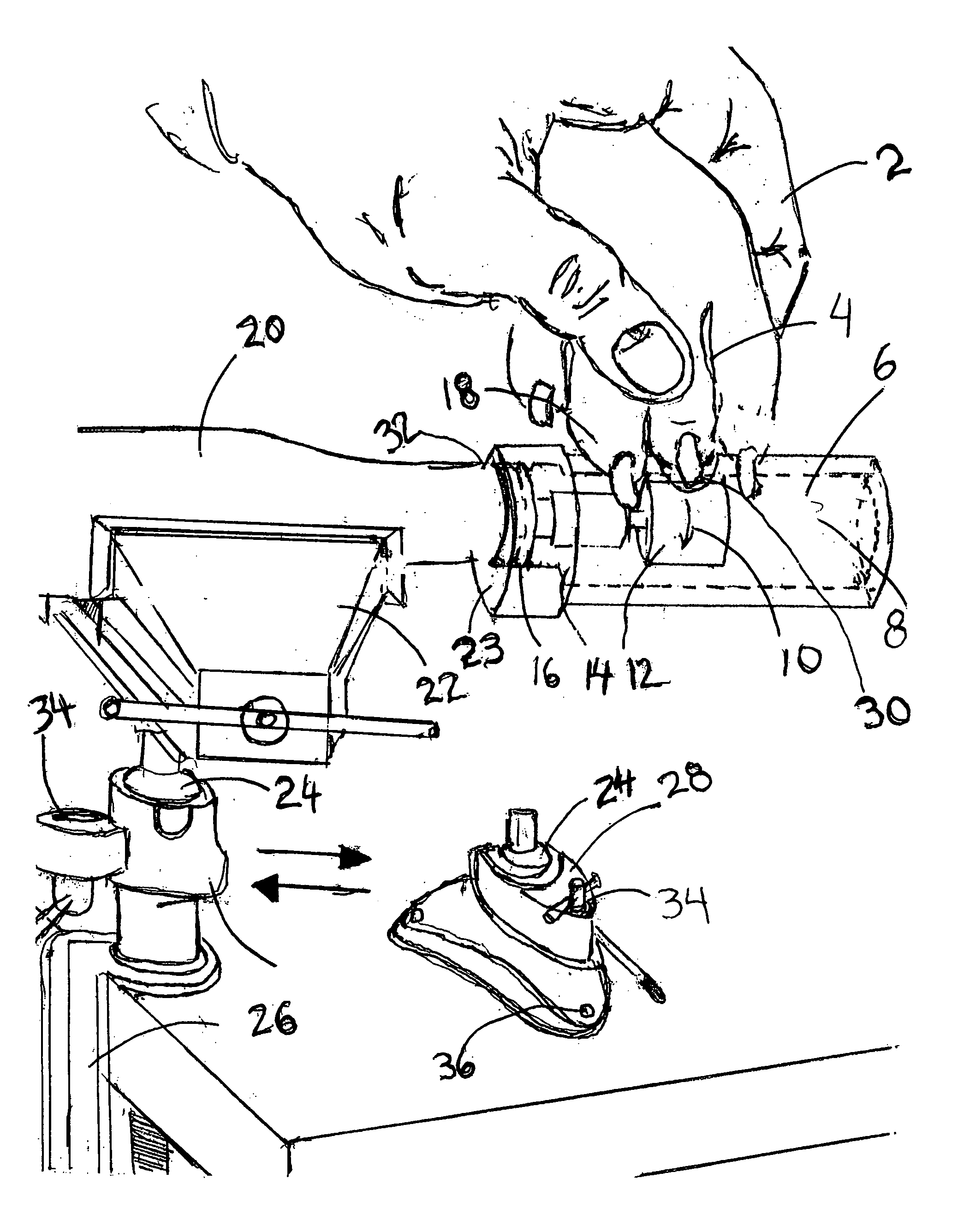 Rotary nail filing apparatus for animals