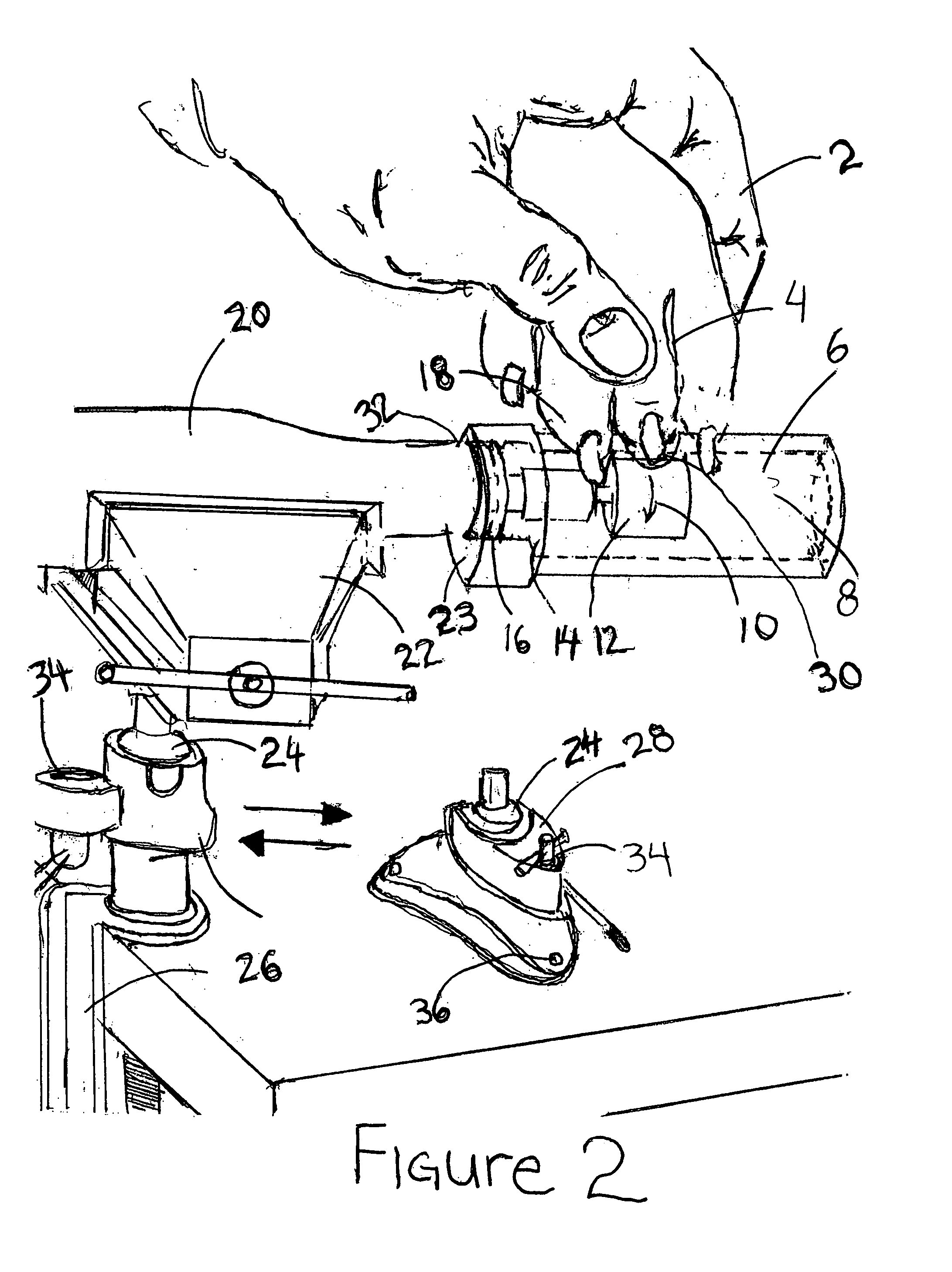 Rotary nail filing apparatus for animals