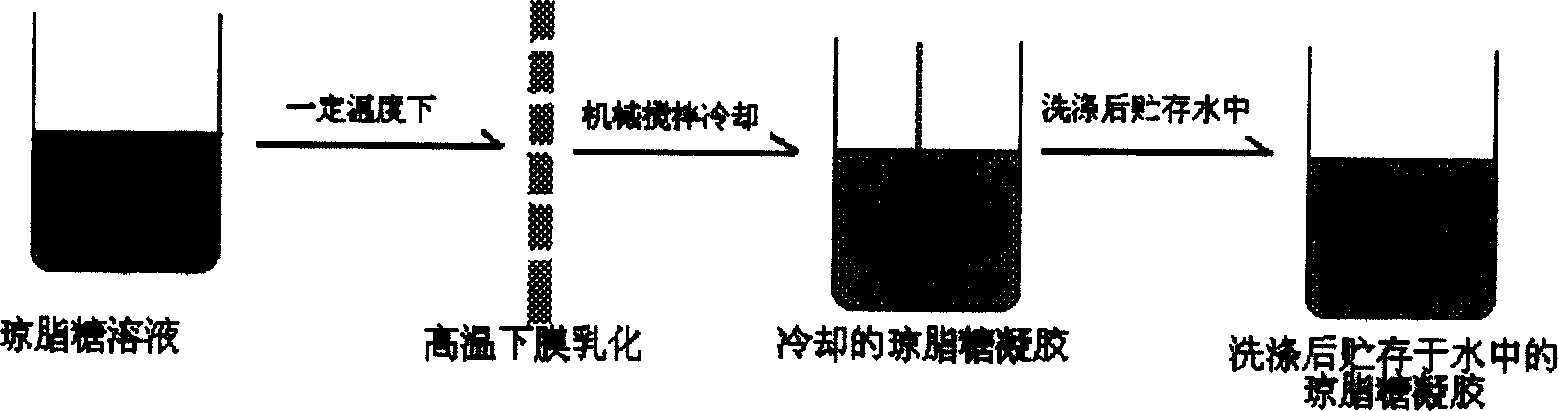 Size-uniform agarose gel microball and its preparing method