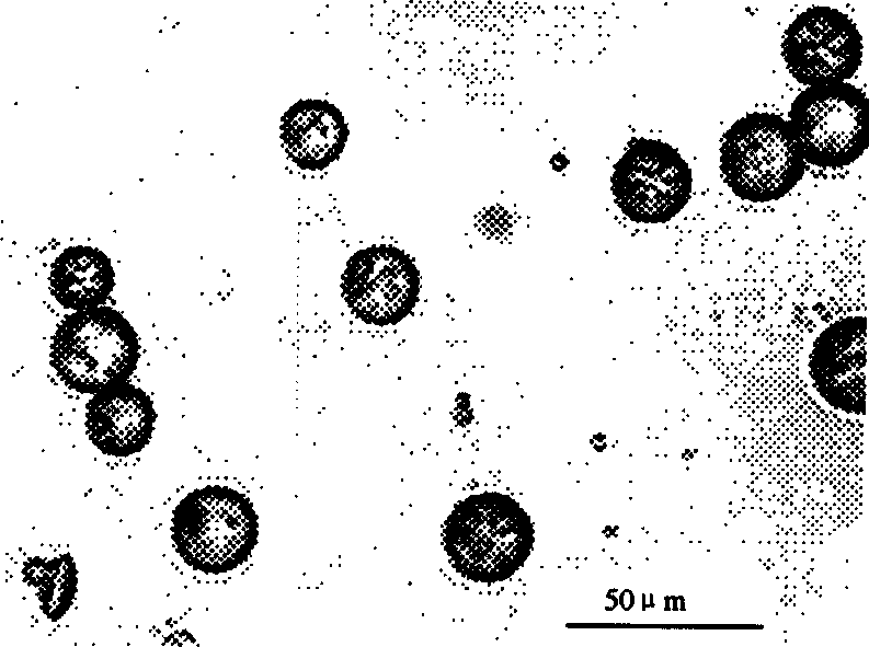 Size-uniform agarose gel microball and its preparing method