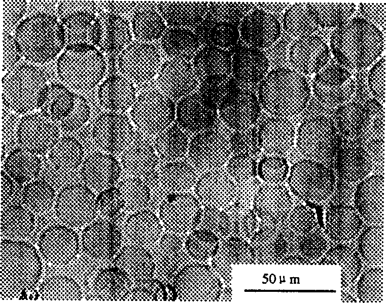 Size-uniform agarose gel microball and its preparing method