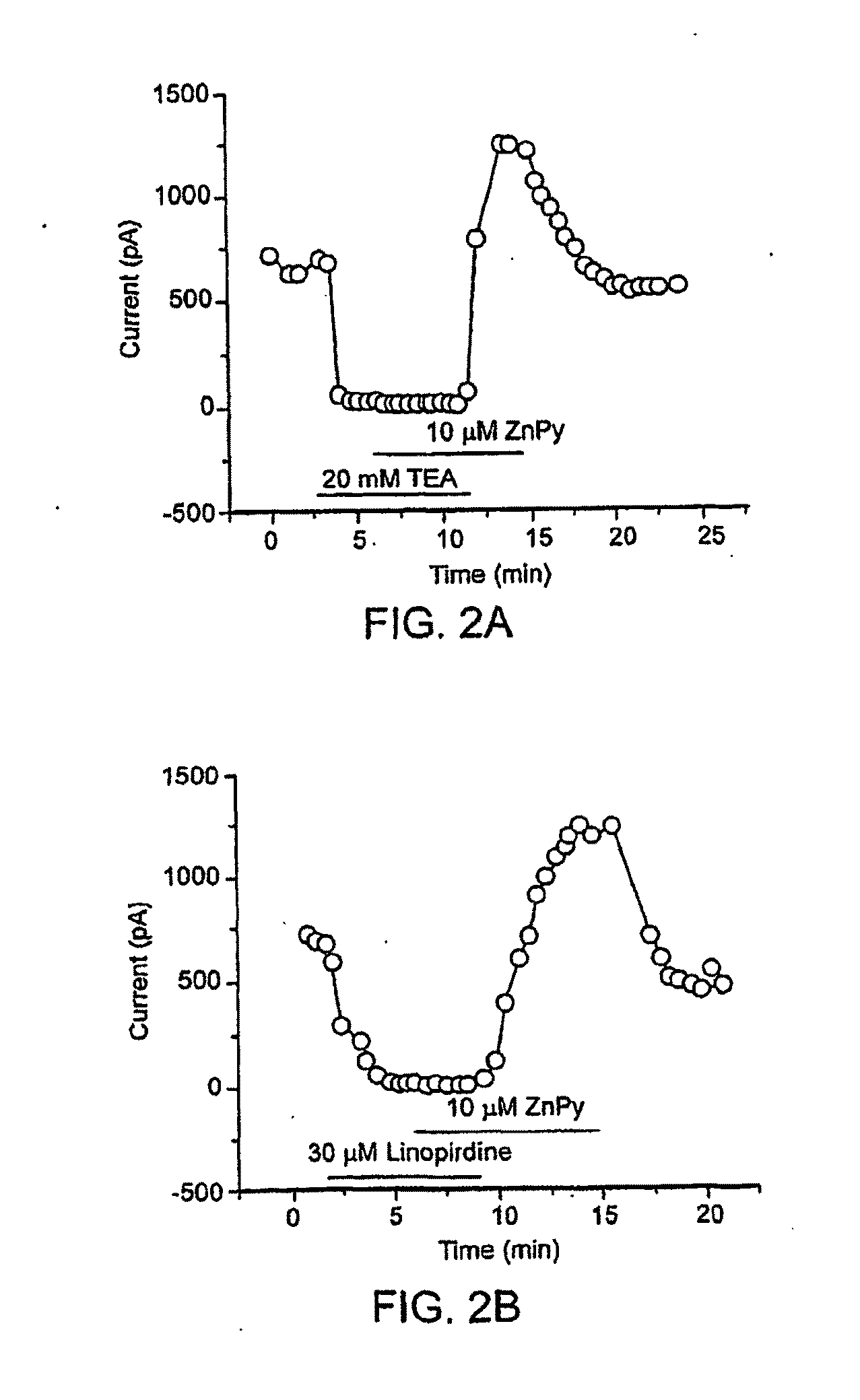 Method of Treating Kcnq Related Disorders Using Organozinc Compounds