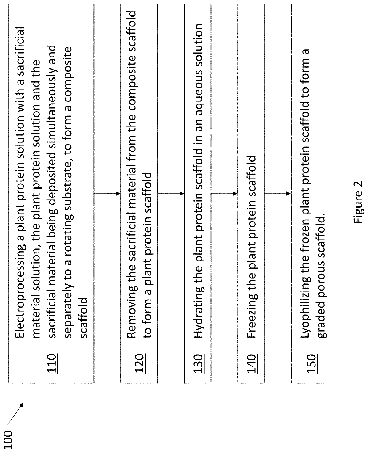 Graded Porous Scaffolds as Immunomodulatory Wound Patches