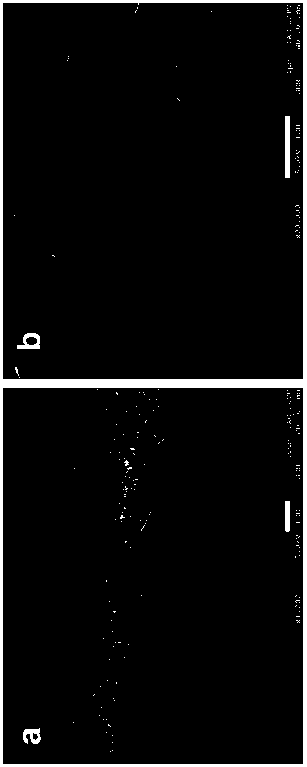 Preparation method of semiconductor composite material based on chemical vapor deposition