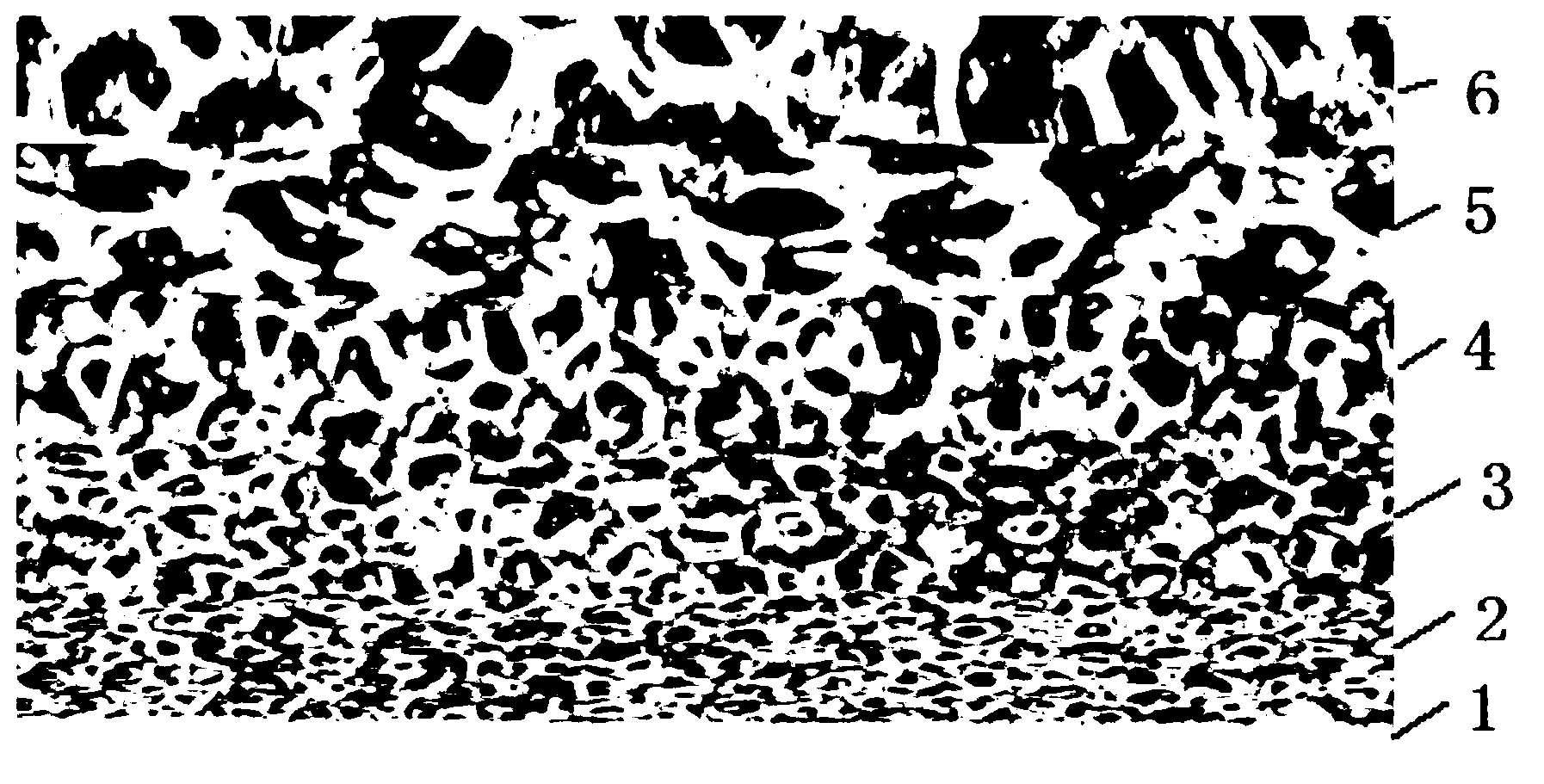 Through-hole metal foam with gradually varied morphologic characteristics, preparation method of through-hole metal foam, and heat exchange device