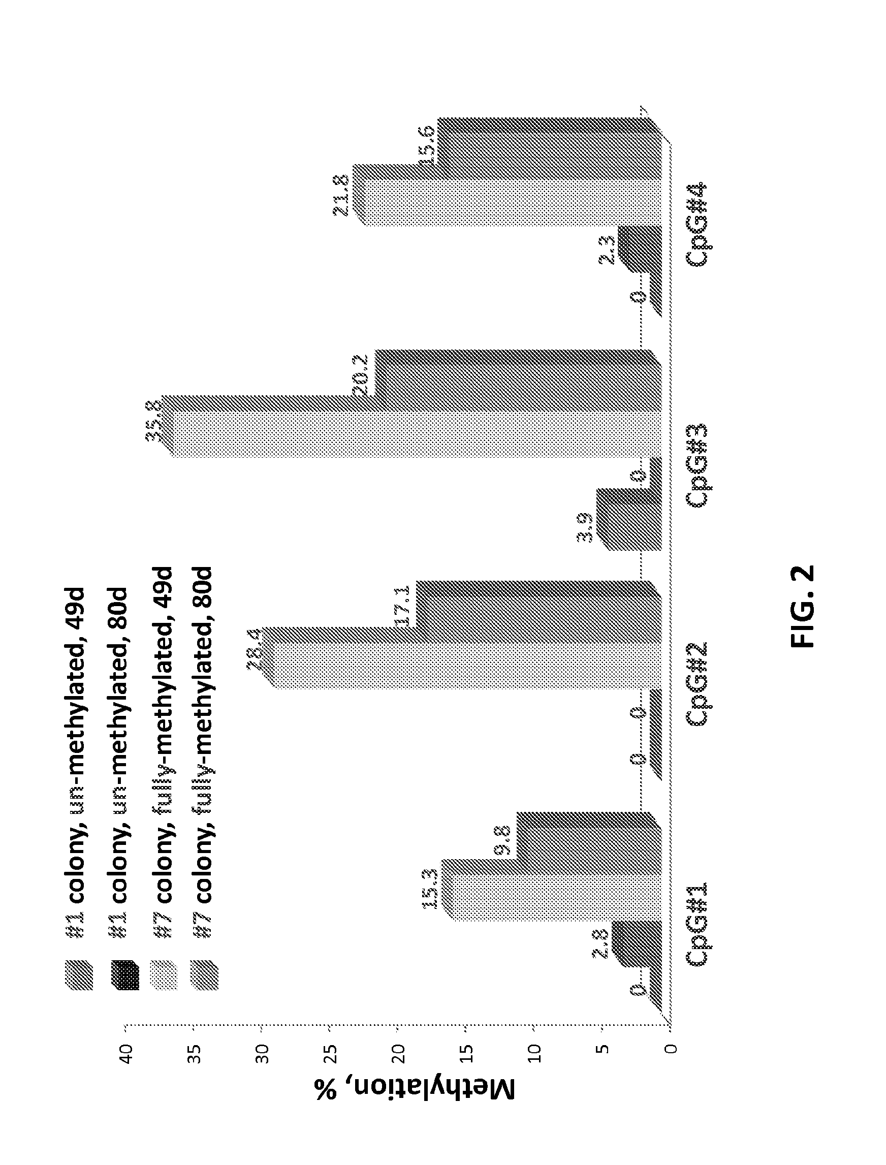 Epigenetic modification of mammalian genomes using targeted endonucleases