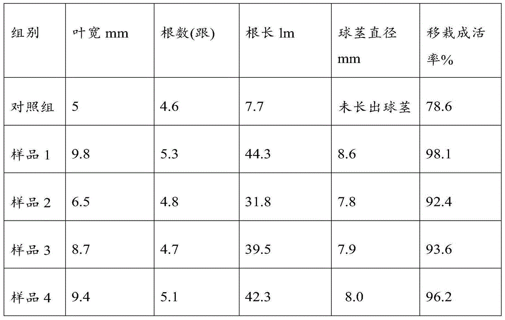 Culture medium for bletilla striata tissue culture