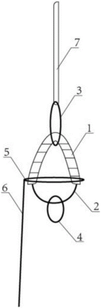 Paraglider-shaped fixed plate device for cruciate ligament reconstruction