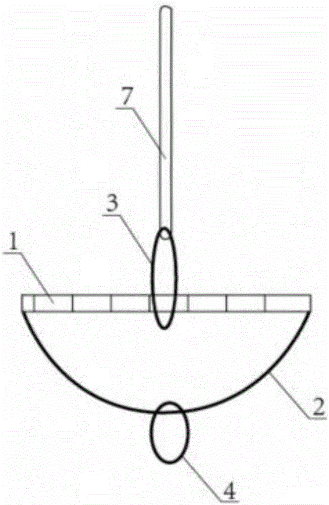 Paraglider-shaped fixed plate device for cruciate ligament reconstruction