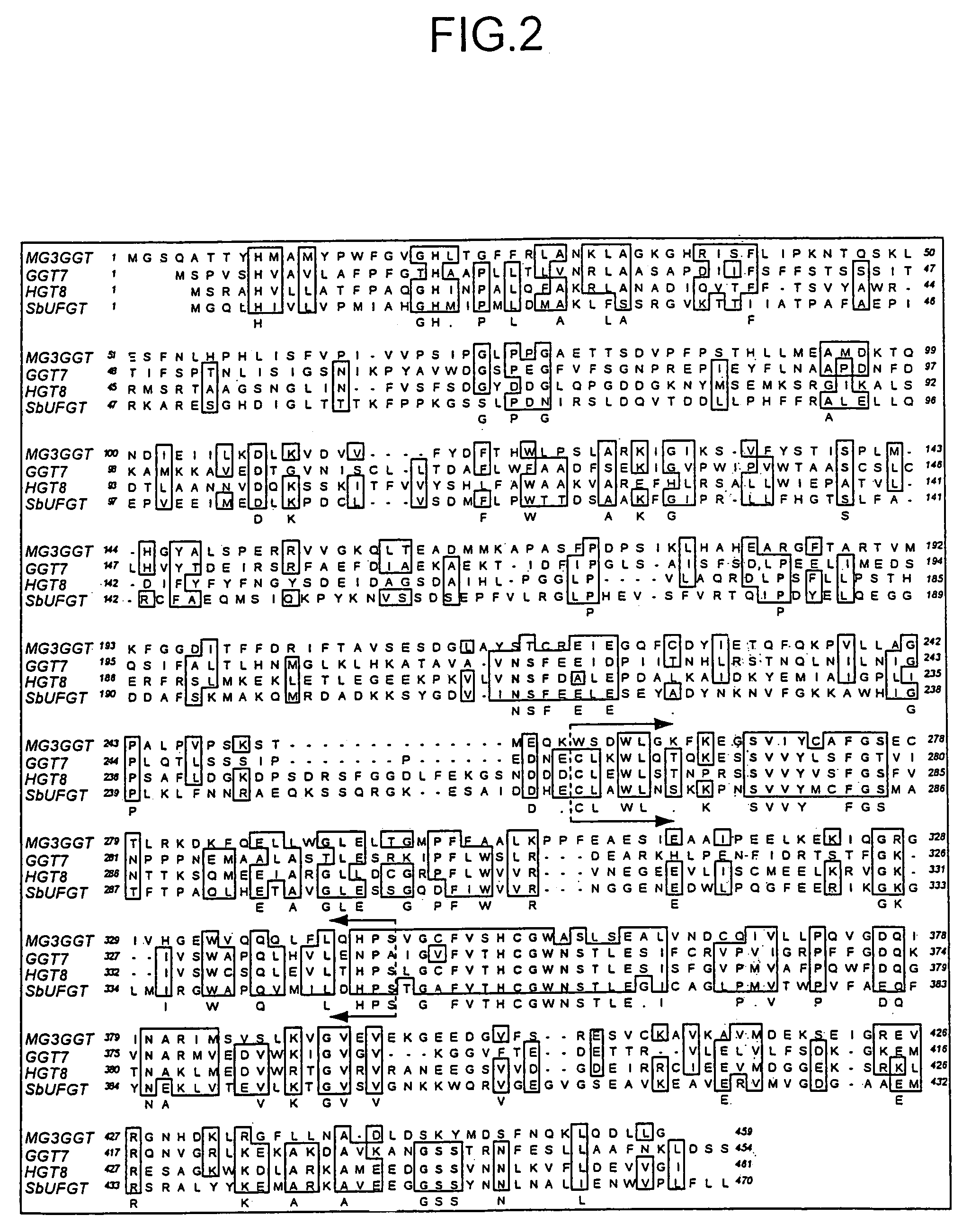 Glycosyltransferase gene