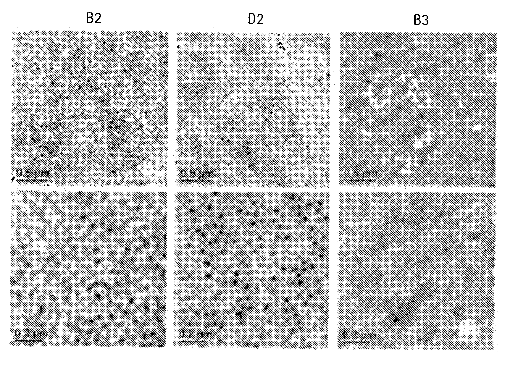 Block composites and impact modified compositions