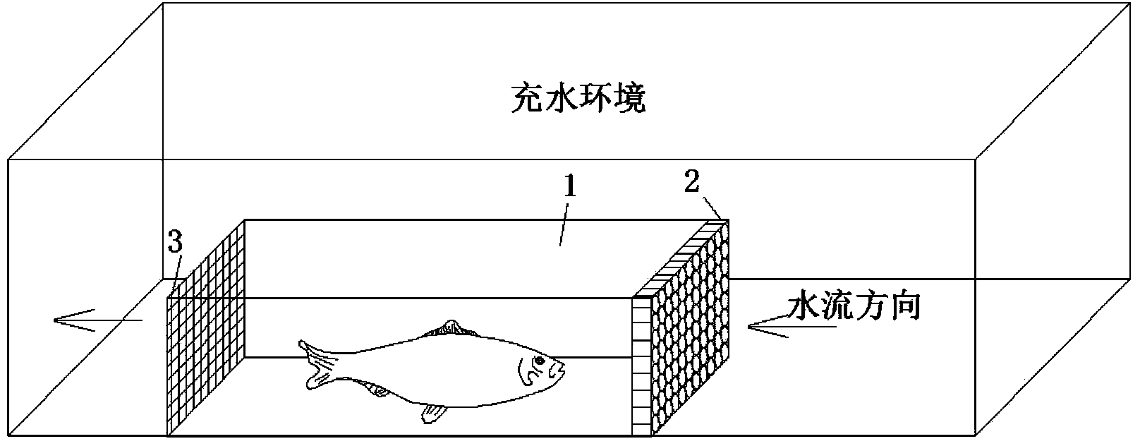 Method for evaluating swimming ability of fishes and application