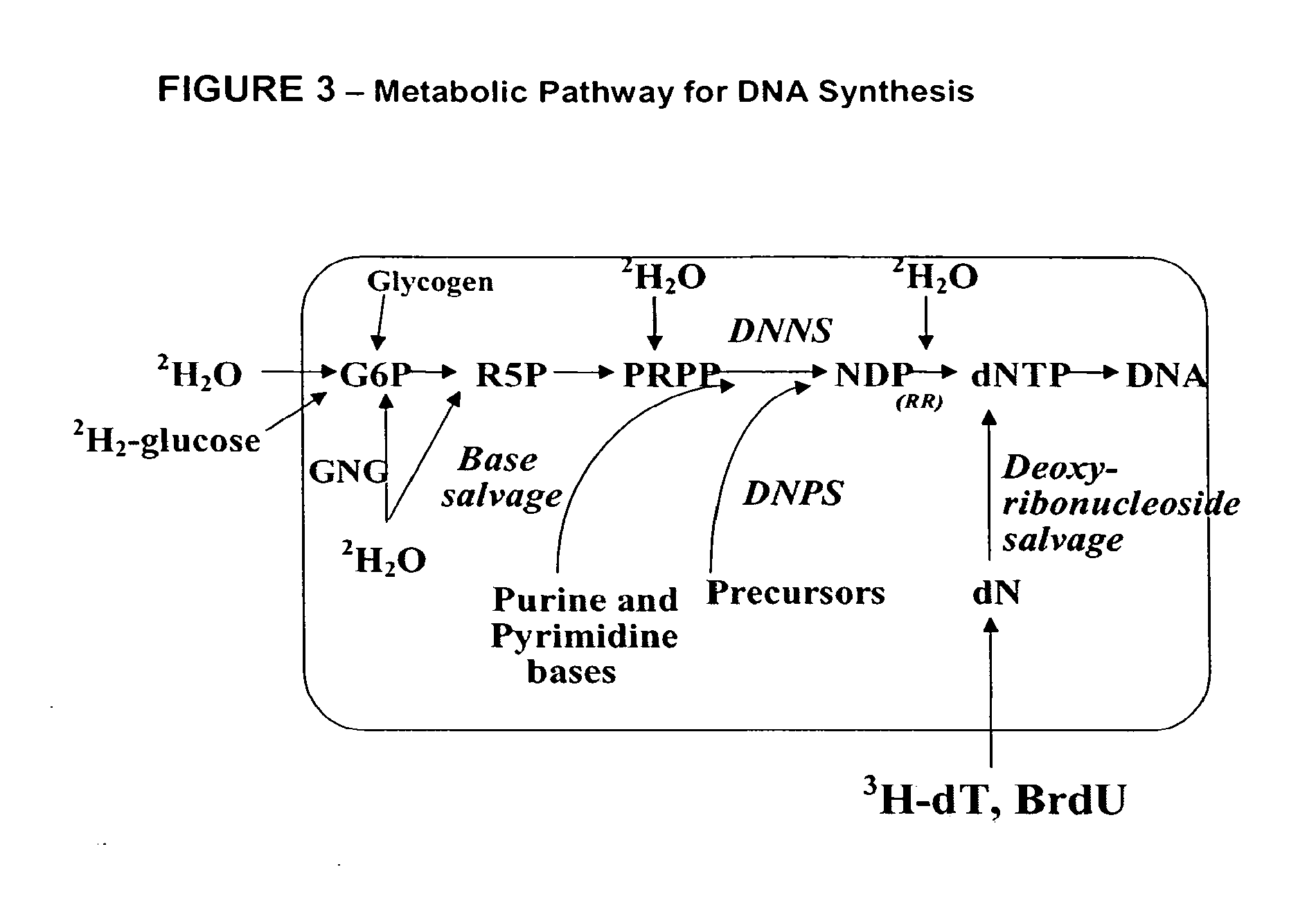 Method for high-throughput screening of compounds and combinations of compounds for discovery and quantification of actions, particularly unanticipated therapeutic or toxic actions, in biological systems