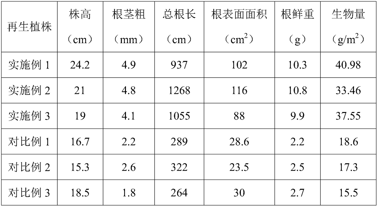 Culture method of rape isolated microspore regenerated plants