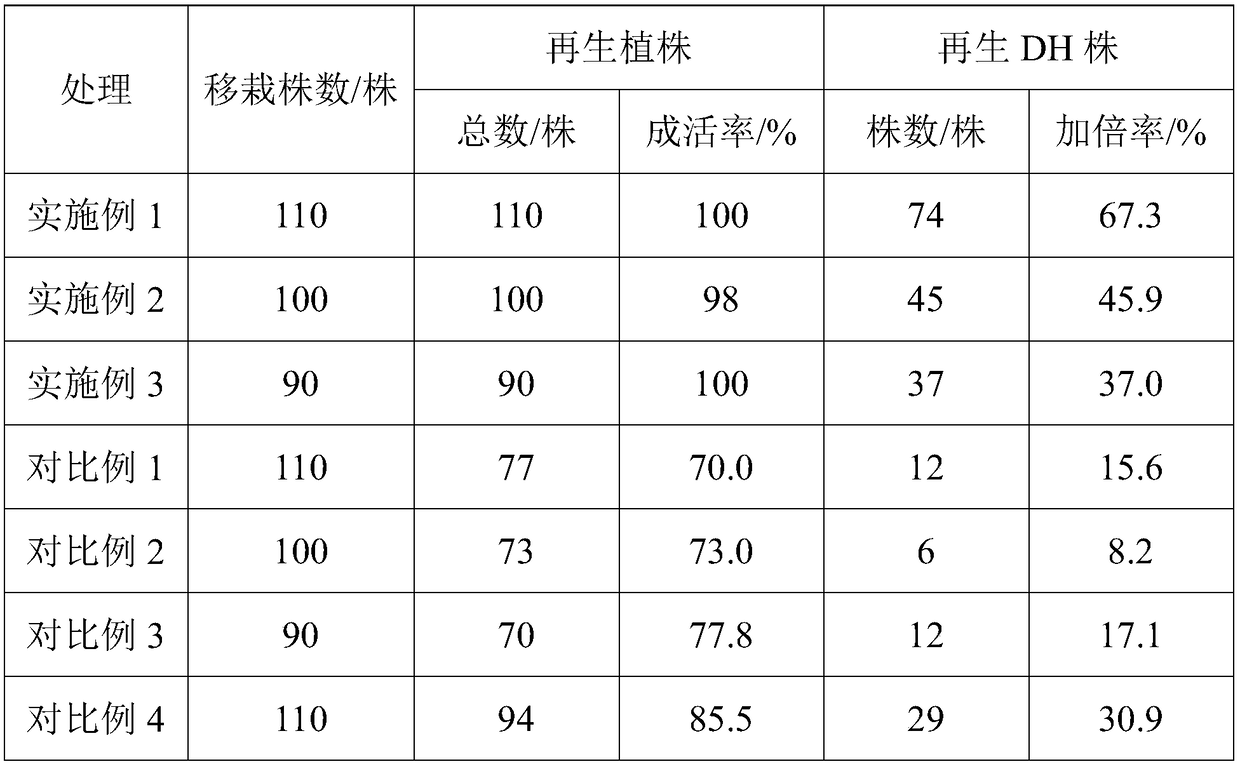 Culture method of rape isolated microspore regenerated plants