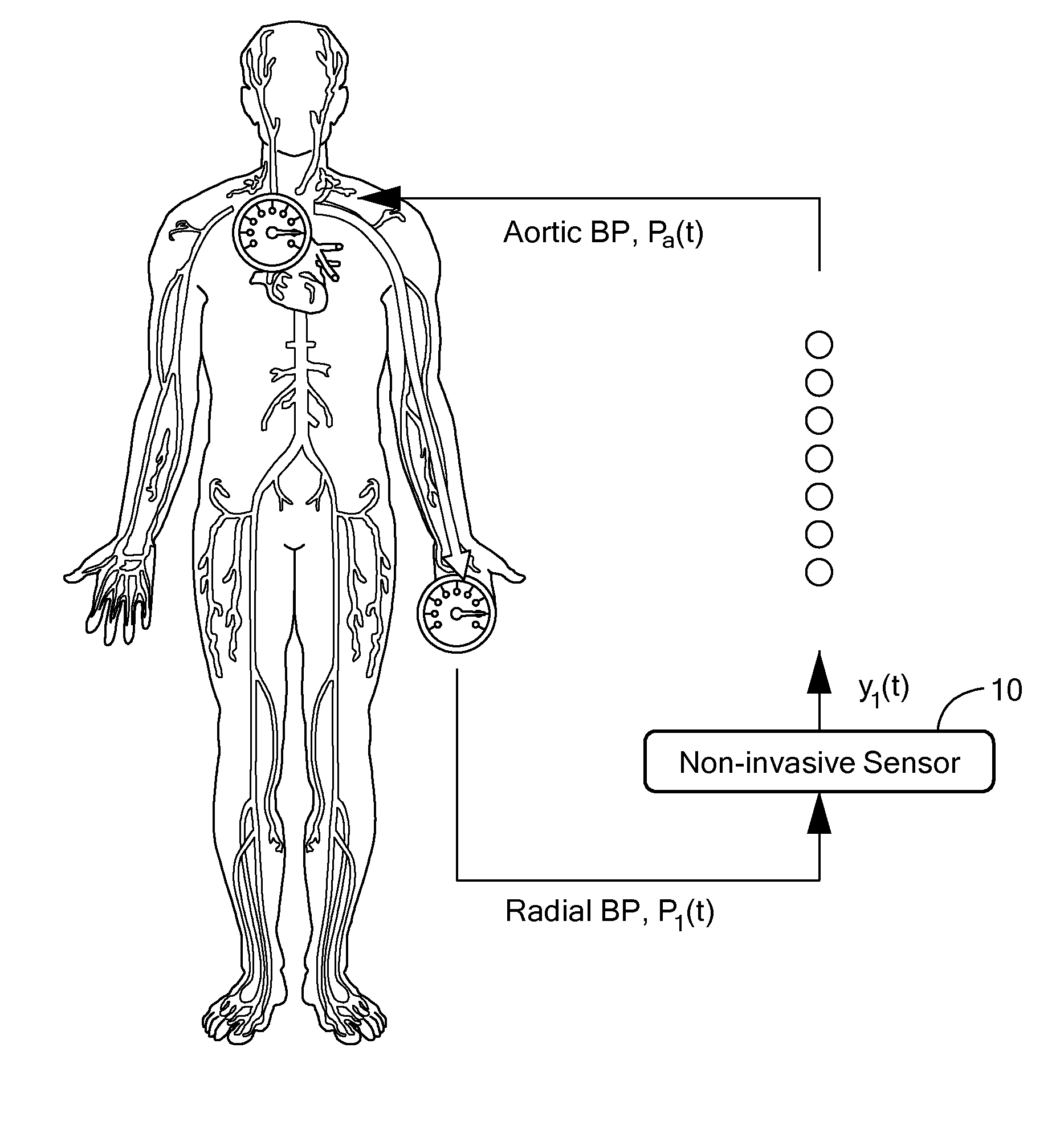 Estimating Aortic Blood Pressure from Non-Invasive Extremity Blood Pressure