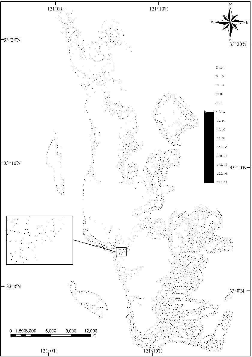 Method for establishing dynamic effect model (DEM) based on multi-resolution remote sensing image discrete point fusion