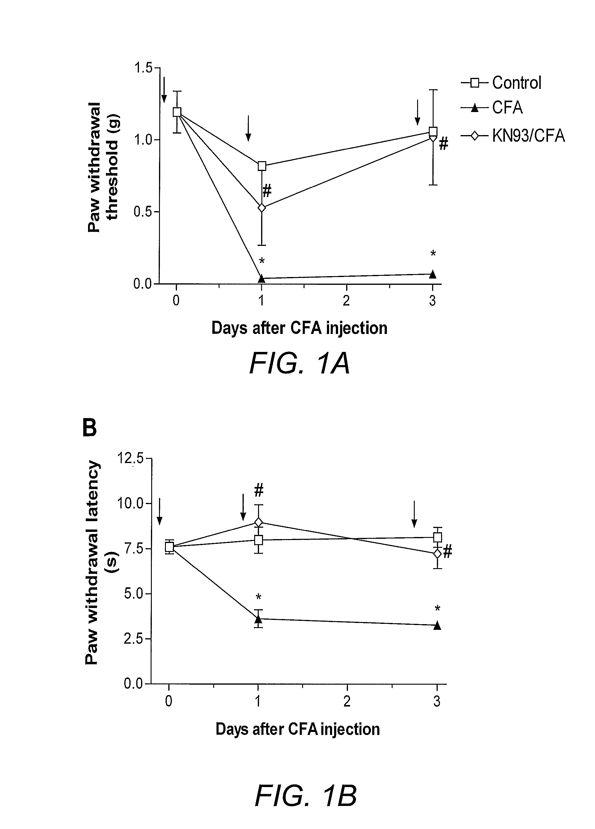 Method for Treating Pain with a Calmodulin Inhibitor