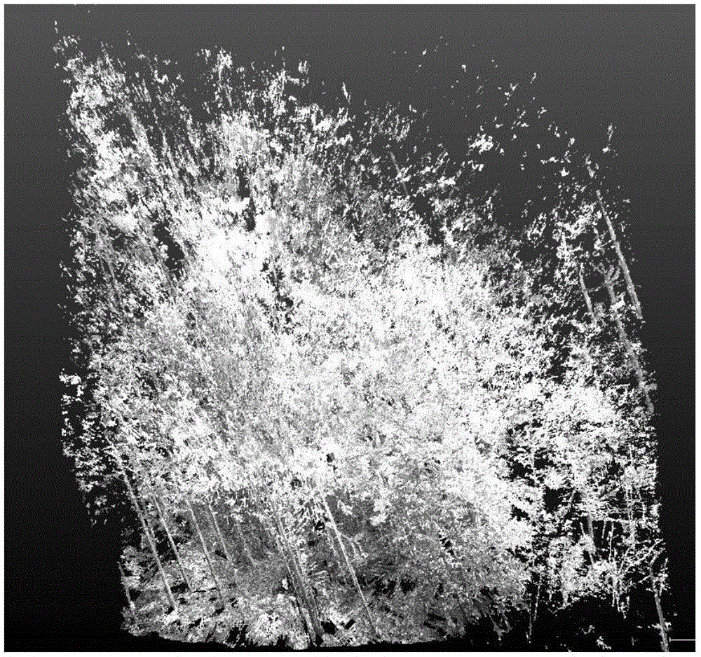 Ground laser radar scanning-based automatic tree breast-height diameter calculation method