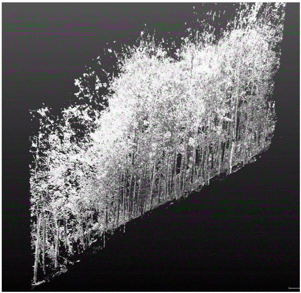 Ground laser radar scanning-based automatic tree breast-height diameter calculation method