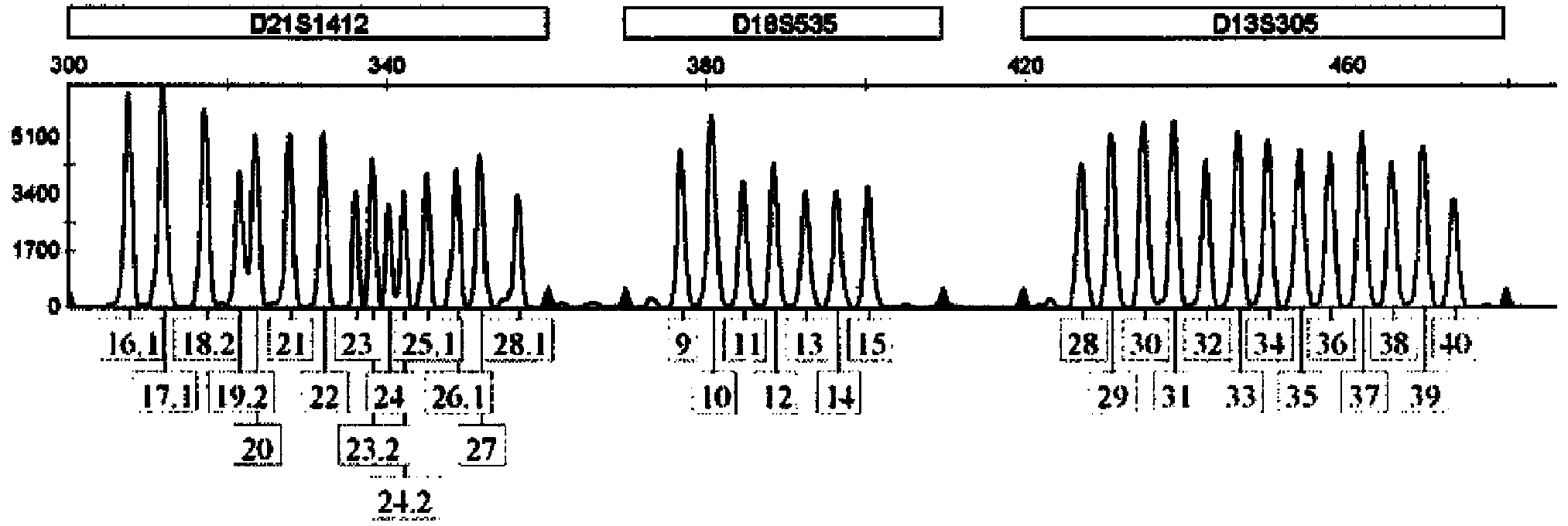 Kit for detecting aneuploidy of five human chromosomes through monotube multiple amplification