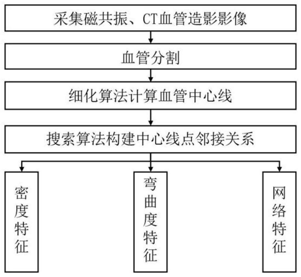 Quantitative Analysis Method of Cerebral Vascular Morphological Characteristics