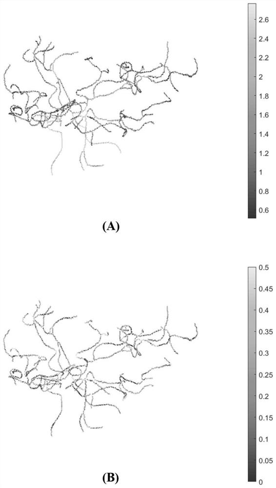 Quantitative Analysis Method of Cerebral Vascular Morphological Characteristics