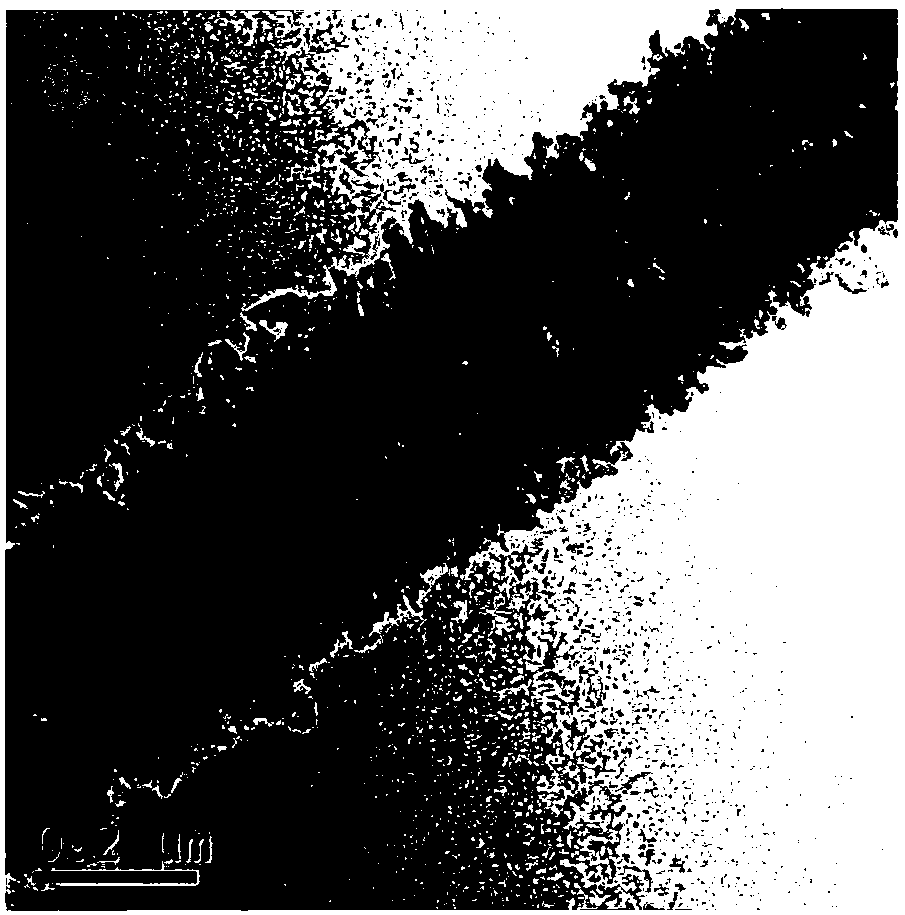 Difunctional electrocatalyst